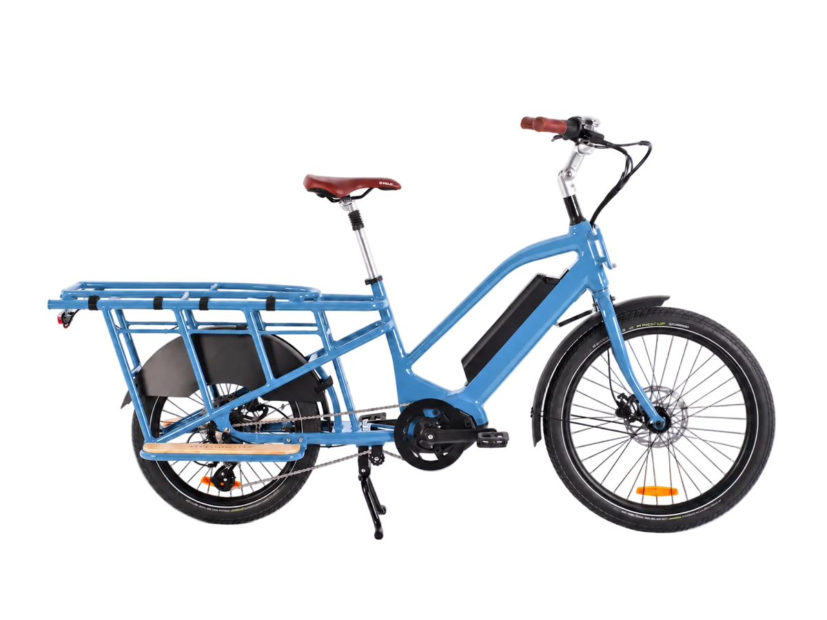 Nebula Compact Bleu Persan