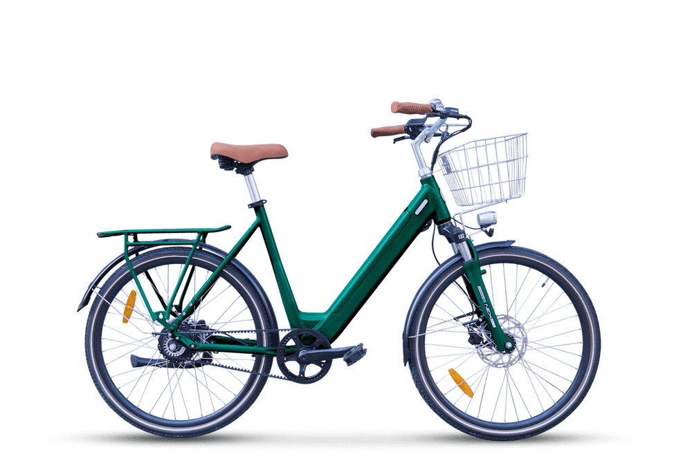 Folio Vert Anglais Sans Fond 